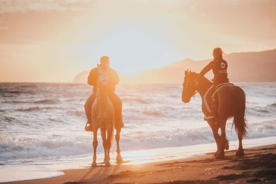 Santorini: Extreme Horse Safari with Beach Gallop - Key points before you saddle up