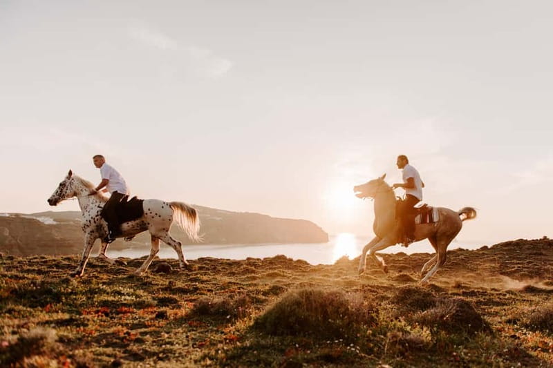 Santorini: Extreme Horse Safari with Beach Gallop - Is $176 a fair price?