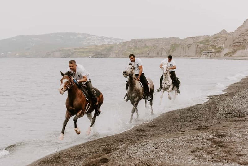 Santorini: Extreme Horse Safari with Beach Gallop - What makes this Santorini ride different