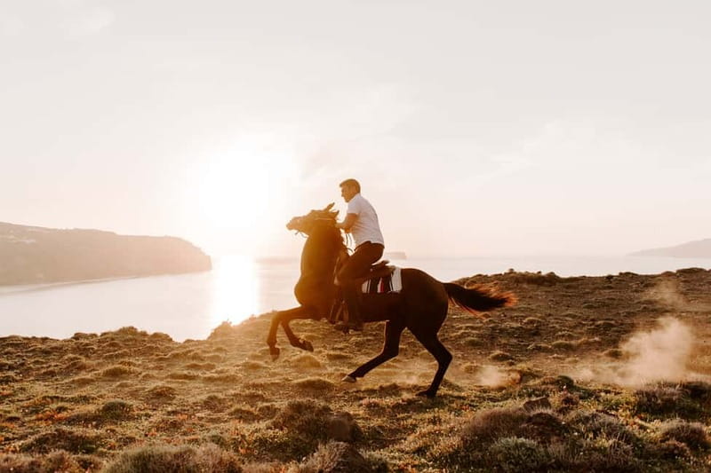 Santorini: Extreme Horse Safari with Beach Gallop - The Caldera viewpoint and the return to Megalochori