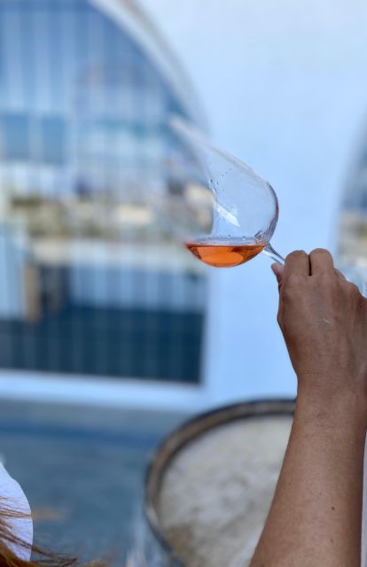 Santorini Fun day: Horseriding- Wine Tasting - Tapas - Pickup and the small-group setup