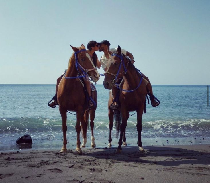 Santorini Fun day: Horseriding- Wine Tasting - Tapas - Ninety minutes on horseback beside the black beach