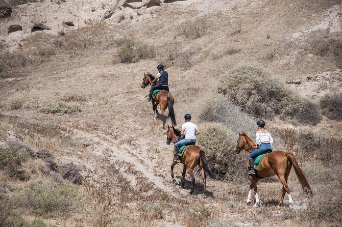 Santorini Horse Riding to Black Sandy Beach - Meeting point, equipment, and weather