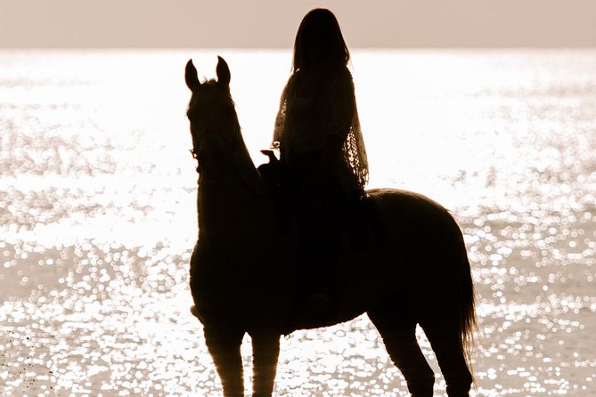 Santorini: Horse Riding to the Black Sandy Beach (Eros beach) - From Megalochori vineyards to Eros Beach