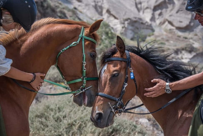 Santorini: Horse Riding Trip to Black Sandy Beach - Who should book this ride?