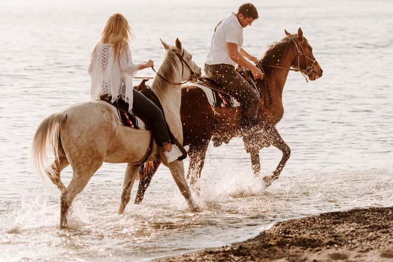 Santorini: Horseback Riding on the Black Sandy Eros Beach - The Photo Stop and Sunset Option