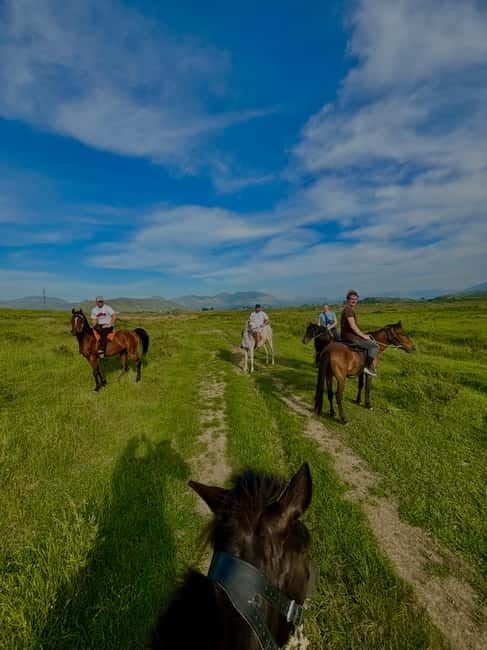 Saranda: Horseback Riding Tour - Who should book this ride?
