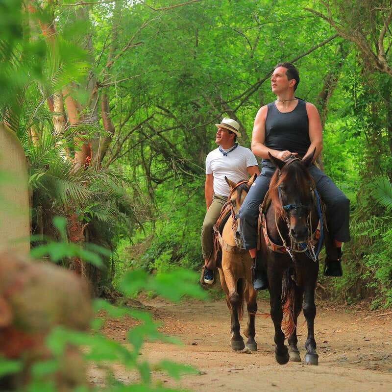 Sayulita: Horseback Riding Tour - Through the jungle toward the coast