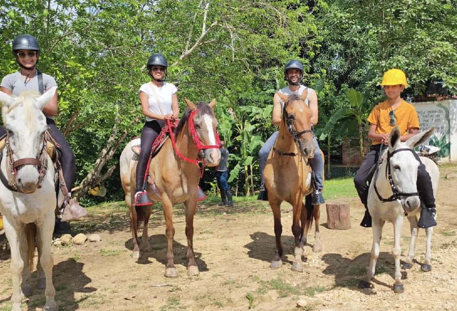 Scenic Horseback Ride in Tropical Mountain Reserve - Mountain views from the UTV