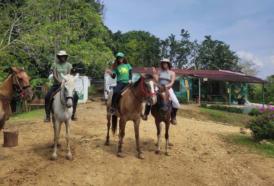 Scenic Horseback Ride in Tropical Mountain Reserve - Is $169 a fair price?