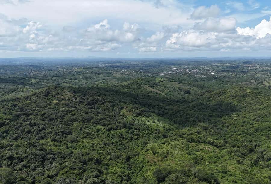 Scenic Horseback Ride in Tropical Mountain Reserve - Fitness, clothing, and age limits