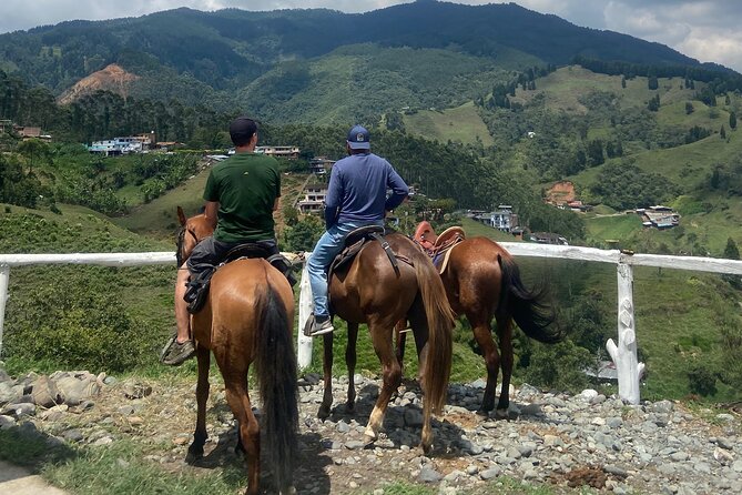 Scenic Horseback Riding in the Medellín Mountains - How the group size affects the pace