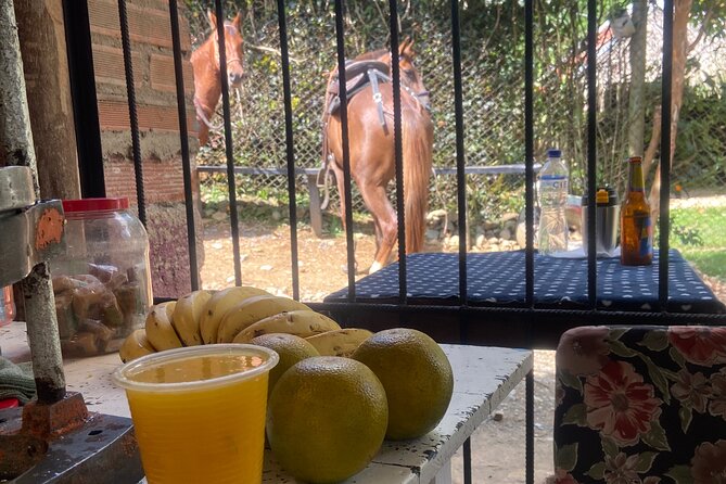 Scenic Horseback Riding in the Medellín Mountains - What to wear and what to expect physically