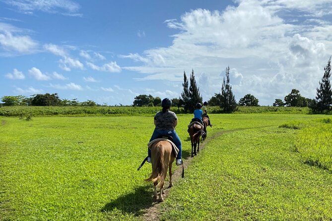 Scenic Horseback Riding Tour from San Juan - Meeting the horses and learning the basics