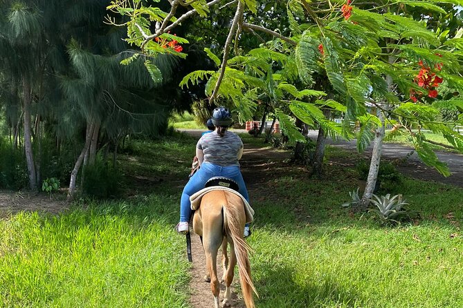 Scenic Horseback Riding Tour from San Juan - How the $169 price measures up