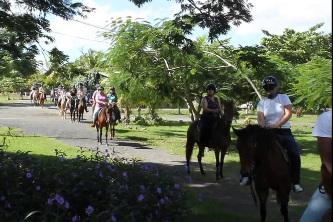 Scenic Horseback Riding Tour from San Juan - Who will enjoy this ride most