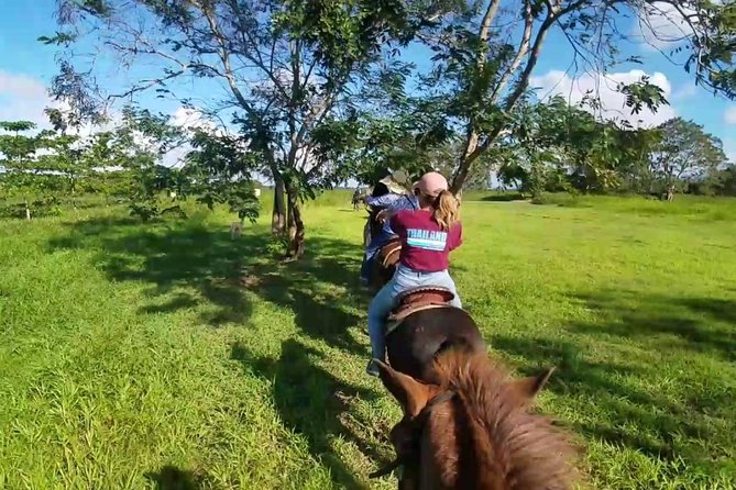 Scenic Horseback Riding Tour from San Juan - Should you book the Hacienda Campo Rico ride?