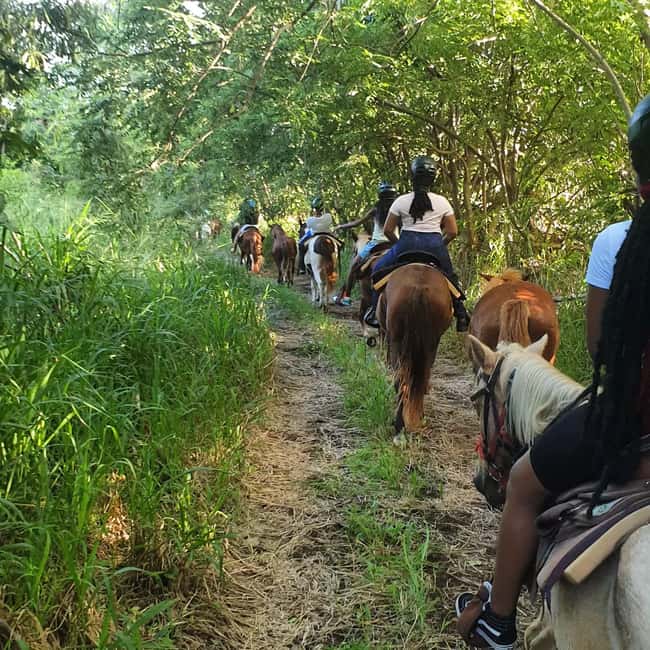 Scenic Horseback Trail - The 10-minute walk to Sofa Stone
