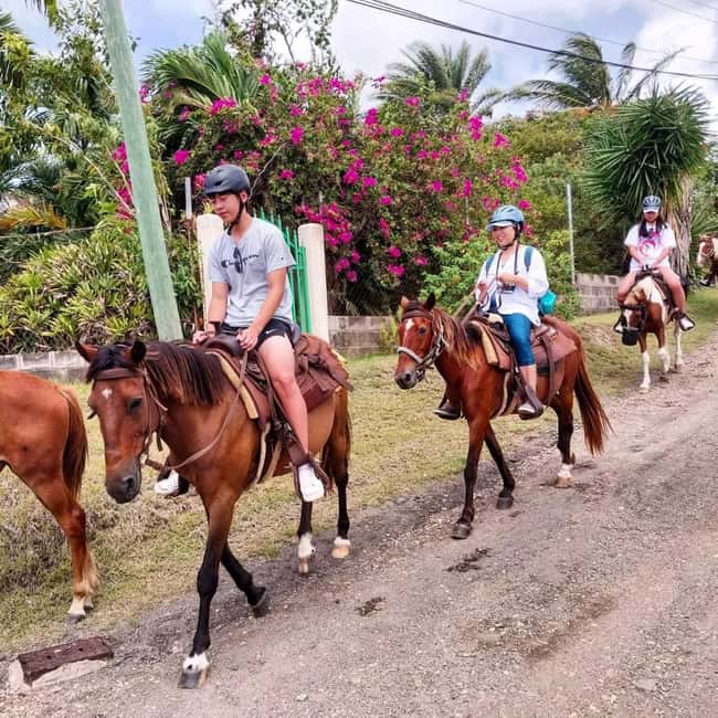 Scenic Horseback Trail - Who should book this ride?
