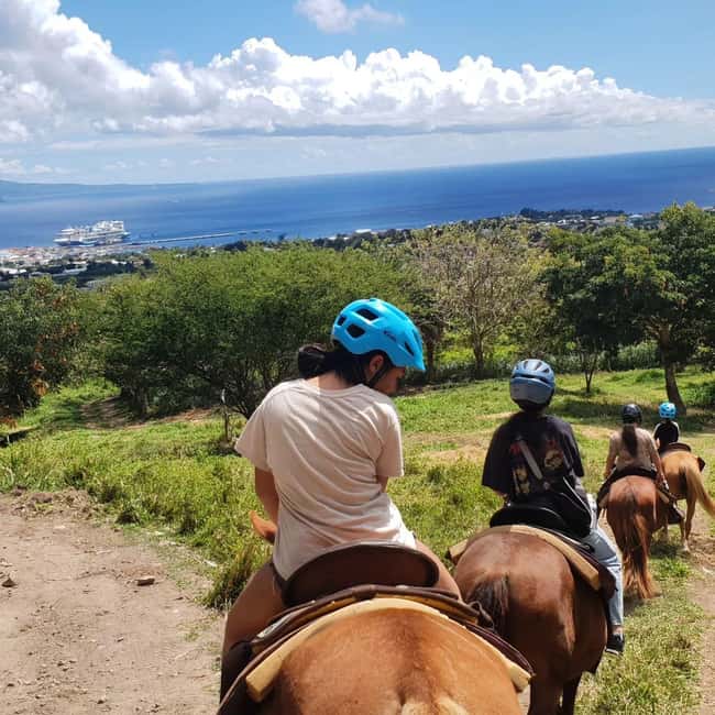 Scenic Horseback Trail - Meeting the horses and starting the ride