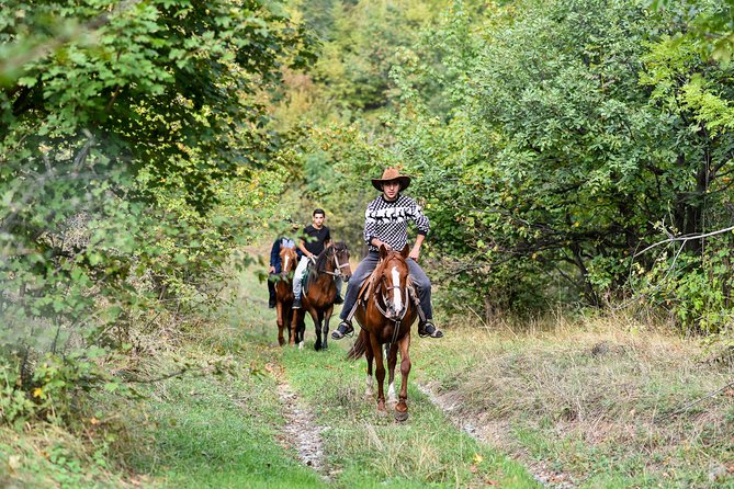 Scenic Trail Rides - Across Pastureland Toward the Debed Canyon