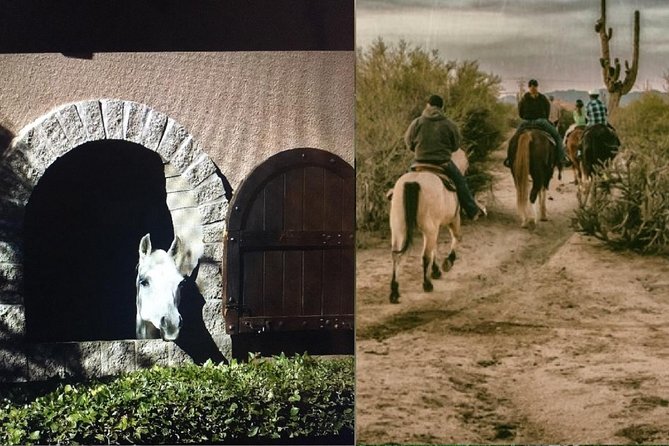 Scottsdale Horseback Riding and Horse Country Estate Tour - A five-hour change of pace from Scottsdale