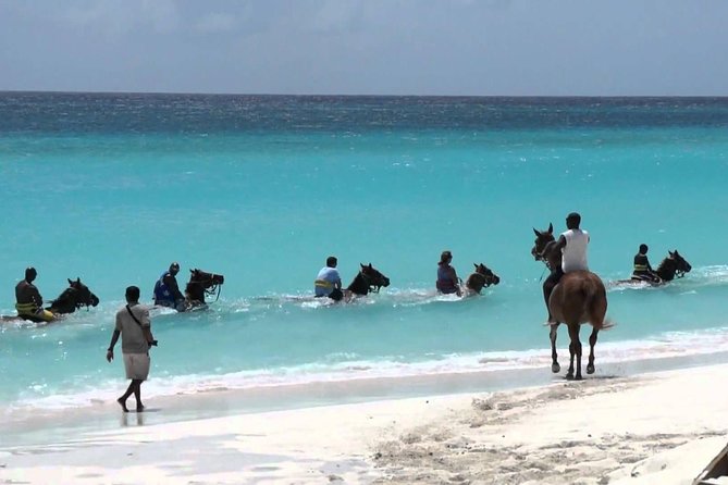 Secret Falls, Blue Hole, and Horseback Riding from Ocho Rios - Riding horseback through the Jamaican countryside