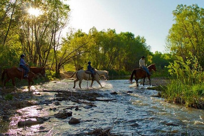 Sedona Horseback Rides At Dead Horse Ranch with River Crossing - Horses are generally calm, but pay attention to comfort