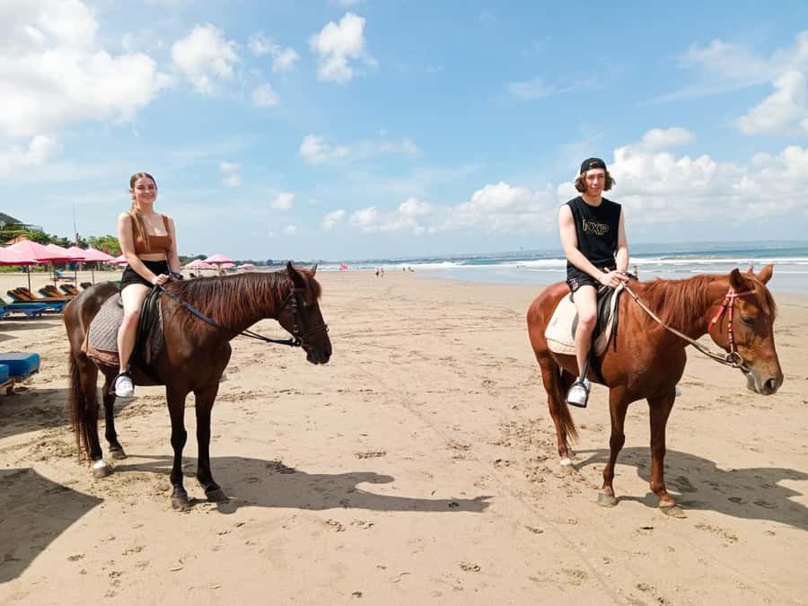 Seminyak: Bali Horse riding Adventure Seminyak Beach - A closer look at the horses and guides