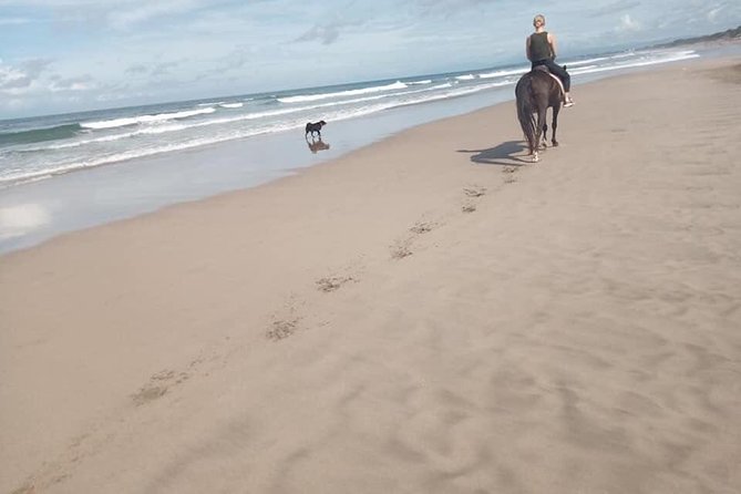 Seminyak Beach Bali Horse Riding - The Meeting Point Deserves Extra Attention