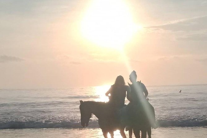 Seminyak Beach Bali Horse Riding - Who Will Enjoy This Ride Most?