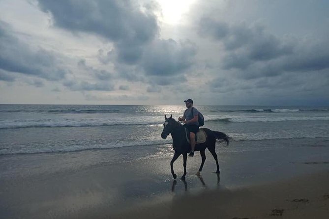 Seminyak Beach Bali Horse Riding - Beginner-Friendly, With One Important Limit