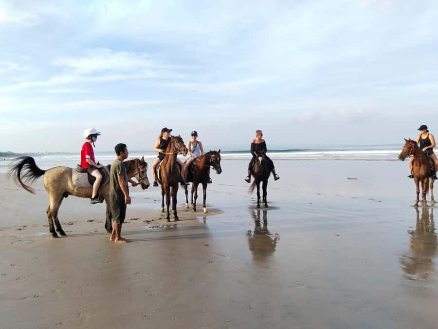 Seminyak Beach Horse Riding Experience - What the one-hour beach ride is really like