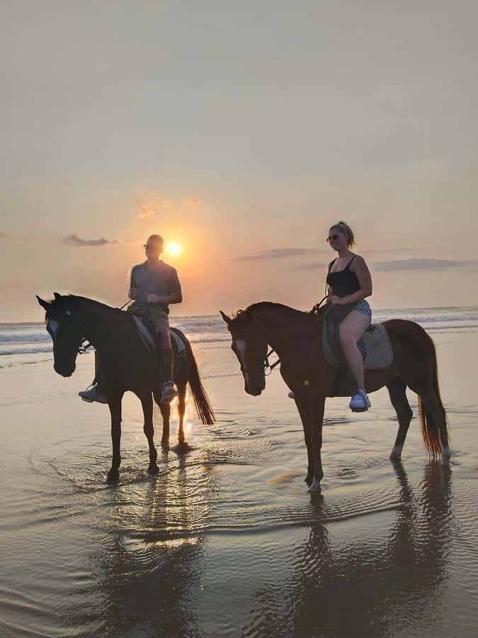 Seminyak Beach Horse Riding Experience - Who will enjoy this most