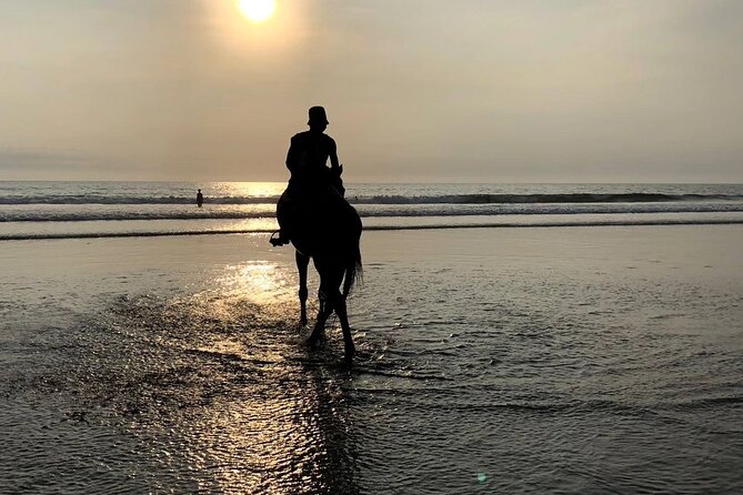 Seminyak Horse back riding In the beach - Who will enjoy this Seminyak ride most