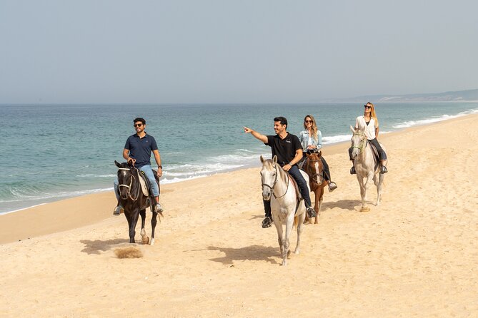 Setubal & Comporta Trip with Horseback Riding from Lisbon - Setúbal, fish markets, and a brief walking tour