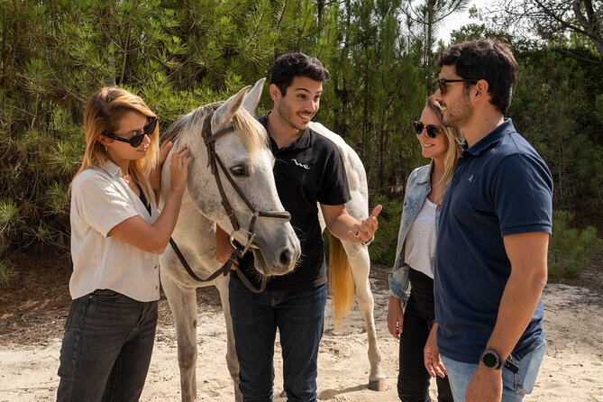 Setubal & Comporta Trip with Horseback Riding from Lisbon - Leaving Lisbon for Setúbal at 9:00 a.m.