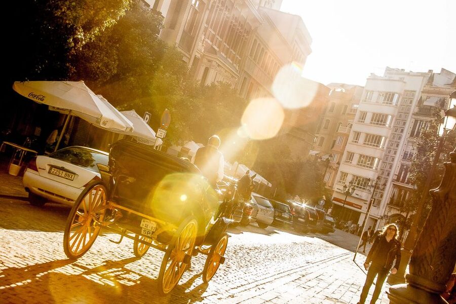 Seville: Authentic and Romantic Horse-Drawn Carriage Ride - Riding through Seville at a slower pace