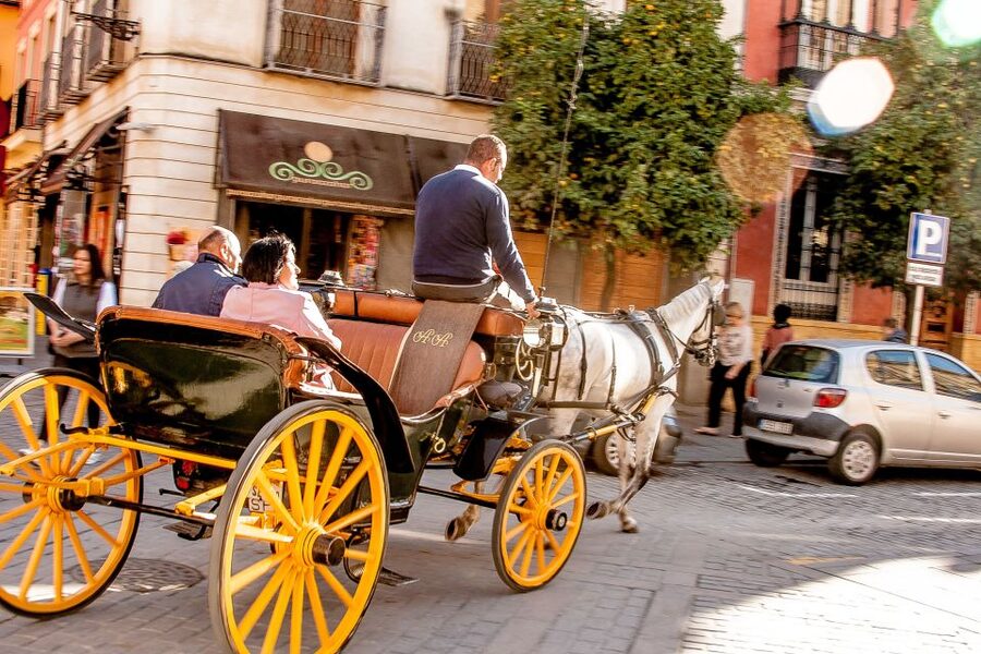 Seville: Authentic and Romantic Horse-Drawn Carriage Ride - Along the Guadalquivir and into Triana