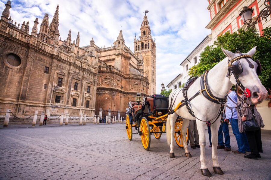 Seville: Authentic and Romantic Horse-Drawn Carriage Ride - Romance, children, and the horse itself