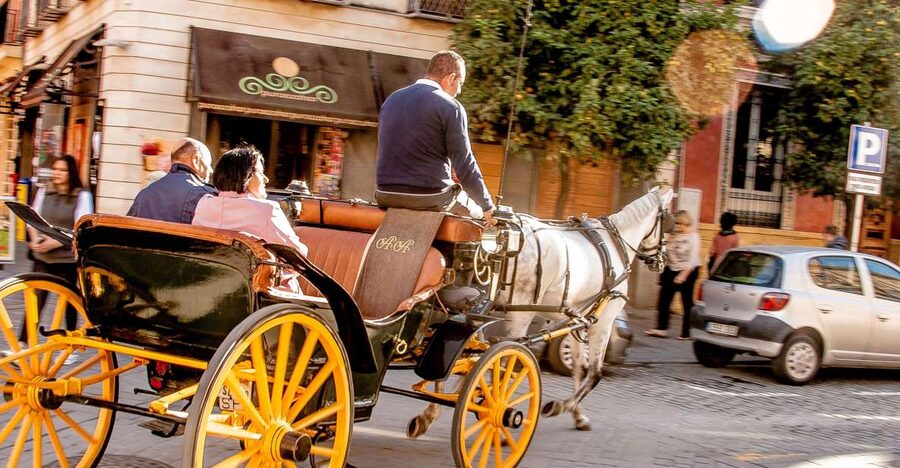 Seville: Authentic and Romantic Horse-Drawn Carriage Ride - María Luisa Park and Plaza de España