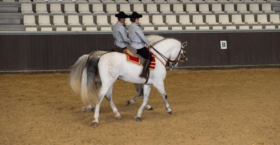 Seville: Horse's Show Entry Ticket. Optional Stud Farm Visit - Key points before you book