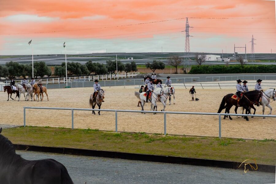 Seville: Horse's Show Entry Ticket. Optional Stud Farm Visit - Story of a Champion: seven stops with a message