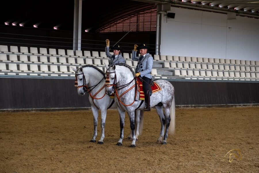 Seville: Horse's Show Entry Ticket. Optional Stud Farm Visit - The Traditions show brings both worlds together