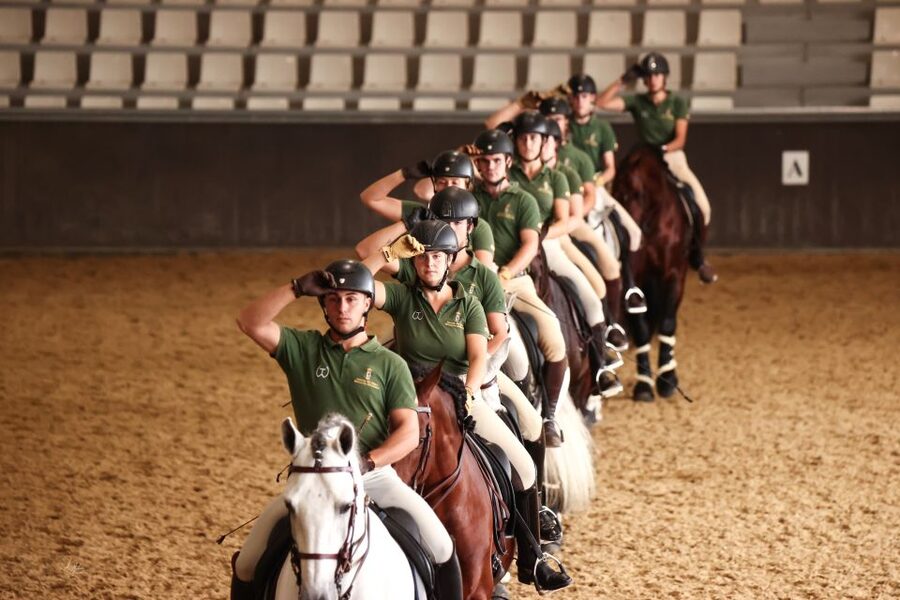 Seville: Horse's Show Entry Ticket. Optional Stud Farm Visit - Languages and the style of the visit