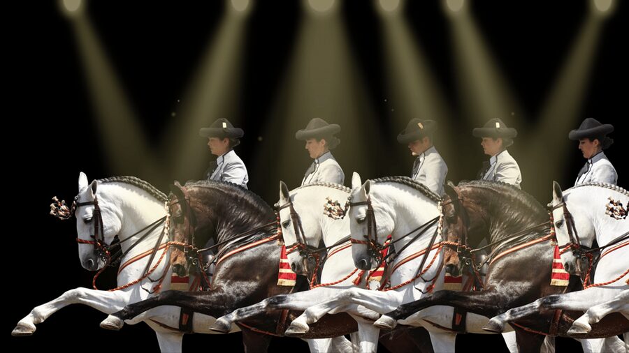 Seville: Horse's Show Entry Ticket. Optional Stud Farm Visit - Getting there from Seville