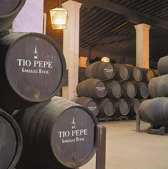 Seville: Jerez, Cadiz Wine Tasting with Optional Horse Show - A long but rewarding day from Seville