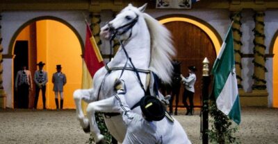Jerez, Cadiz Wine Tasting with Optional Horse Show