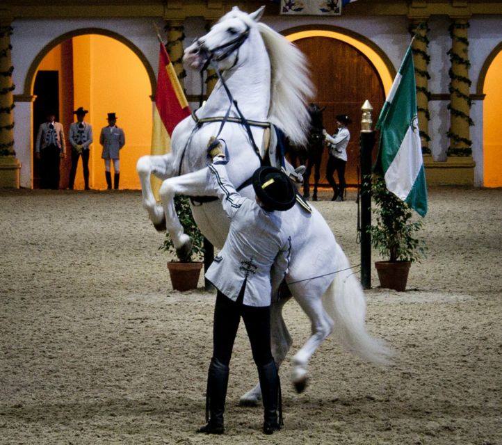 Seville: Jerez, Cadiz Wine Tasting with Optional Horse Show - Driving toward Cadiz and the Costa de la Luz