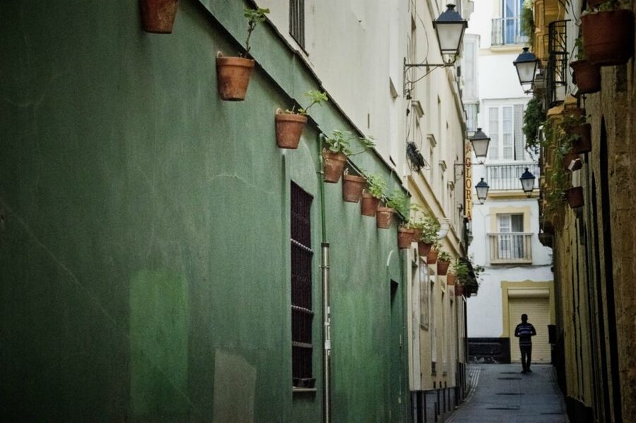 Seville: Jerez, Cadiz Wine Tasting with Optional Horse Show - Cadiz, from cathedral to old streets